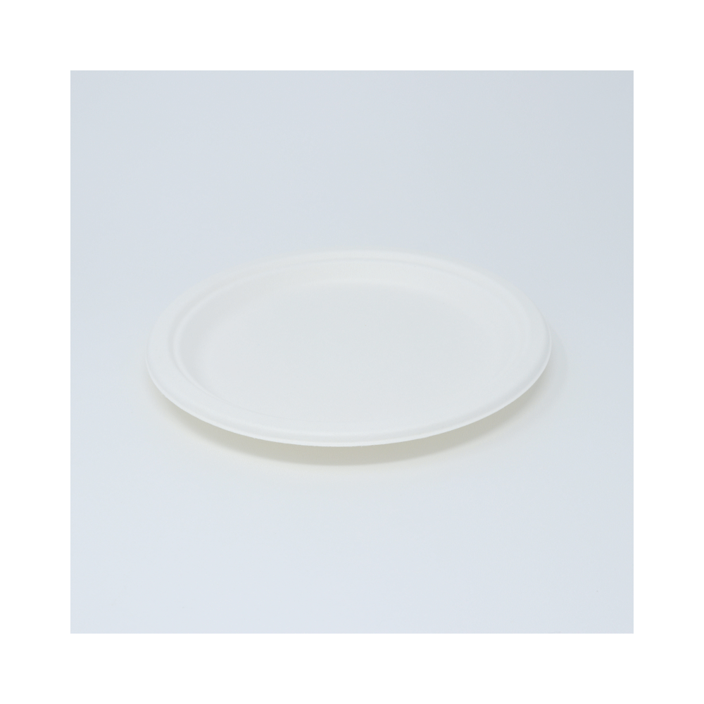 9 Paper Plate